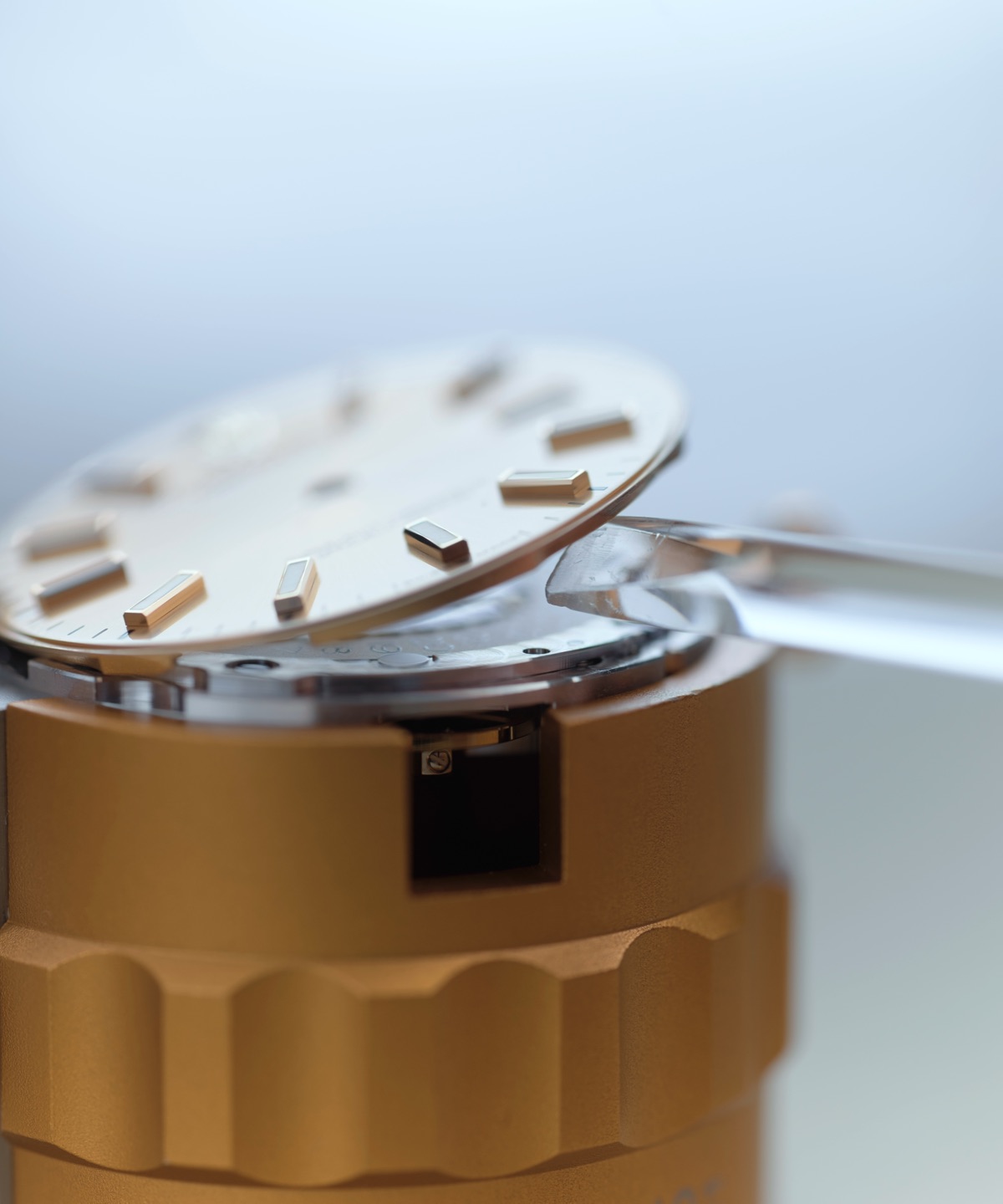 Rolex Servicing Procedure